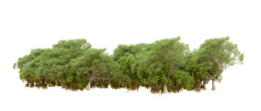 Beyaz arka planda yeşil ağaçlar. 3D görüntüleme. Doğa