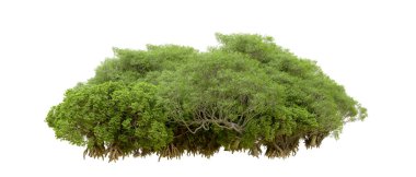 Beyaz arka planda yeşil ağaçlar. 3D görüntüleme. Doğa