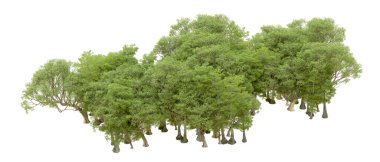 Beyaz arka plan üzerinde izole yeşil ağaçlar