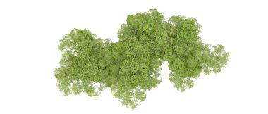 Beyaz arka plan üzerinde izole yeşil ağaçlar