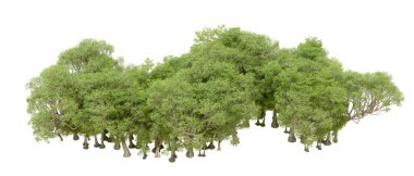 Beyaz arka plan üzerinde izole yeşil ağaçlar