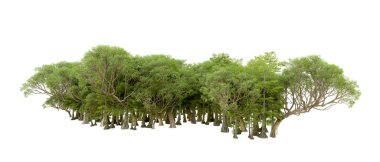 Beyaz arka plan üzerinde izole yeşil ağaçlar