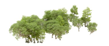 Beyaz arka plan üzerinde izole yeşil ağaçlar