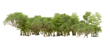 Beyaz arka plan üzerinde izole yeşil ağaçlar