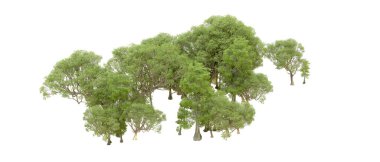 Beyaz arka plan üzerinde izole yeşil ağaçlar