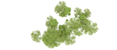 Beyaz arka plan üzerinde izole yeşil ağaçlar