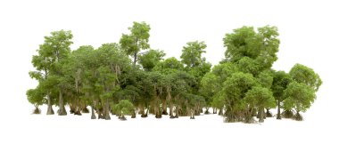 Beyaz arka plan üzerinde izole yeşil ağaçlar