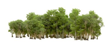 Beyaz arka plan üzerinde izole yeşil ağaçlar