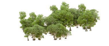 Beyaz arka plan üzerinde izole yeşil ağaçlar