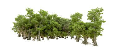 Beyaz arka plan üzerinde izole yeşil ağaçlar