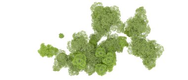 Beyaz arka plan üzerinde izole yeşil ağaçlar