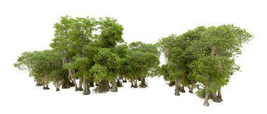 Beyaz arka plan üzerinde izole yeşil ağaçlar