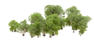 Beyaz arka plan üzerinde izole yeşil ağaçlar