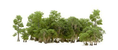 Orman ıssız. Afişler, afişler ve fotoğraf postaları için kullanışlı bir görüntü. 3d oluşturma.