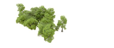 Doğa. Beyaz arkaplanda yeşil ağaçlar izole     