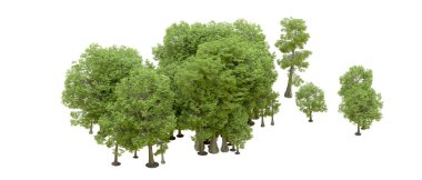 Doğa. Beyaz arkaplanda yeşil ağaçlar izole     