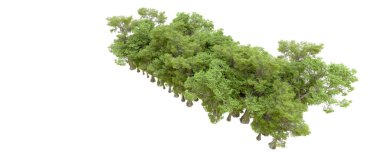 Doğa. Beyaz arkaplanda yeşil ağaçlar izole     