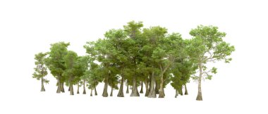 Doğa. Beyaz arkaplanda yeşil ağaçlar izole     