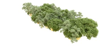 Doğa. Beyaz arkaplanda yeşil ağaçlar izole     