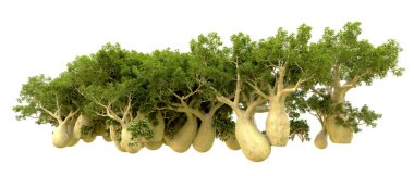 Orman ıssız. Afişler, afişler ve fotoğraf postaları için kullanışlı bir görüntü. 3d oluşturma.