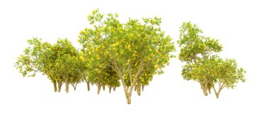 Orman ıssız. Afişler, afişler ve fotoğraf postaları için kullanışlı bir görüntü. 3d oluşturma.