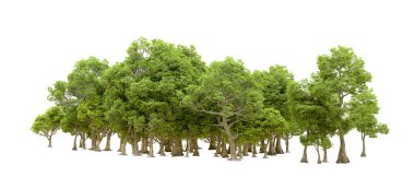 Orman ıssız. Afişler, afişler ve fotoğraf postaları için kullanışlı bir görüntü. 3d oluşturma.