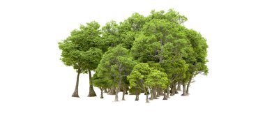 Orman ıssız. Afişler, afişler ve fotoğraf postaları için kullanışlı bir görüntü. 3d oluşturma.