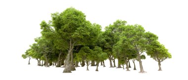 Orman ıssız. Afişler, afişler ve fotoğraf postaları için kullanışlı bir görüntü. 3d oluşturma.