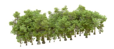 Orman ıssız. Afişler, afişler ve fotoğraf postaları için kullanışlı bir görüntü. 3d oluşturma.