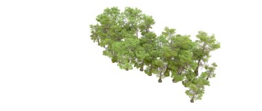 Orman ıssız. Afişler, afişler ve fotoğraf postaları için kullanışlı bir görüntü. 3d oluşturma.