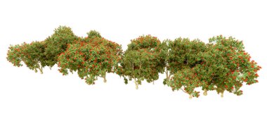 Orman ıssız. Afişler, afişler ve fotoğraf postaları için kullanışlı bir görüntü. 3d oluşturma.