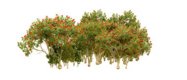 Orman ıssız. Afişler, afişler ve fotoğraf postaları için kullanışlı bir görüntü. 3d oluşturma.