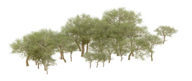 Orman ıssız. Afişler, afişler ve fotoğraf postaları için kullanışlı bir görüntü. 3d oluşturma.