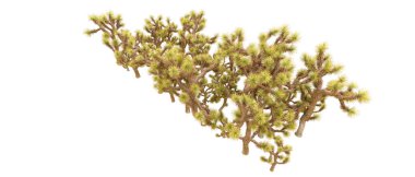 Orman ıssız. Afişler, afişler ve fotoğraf postaları için kullanışlı bir görüntü. 3d oluşturma.