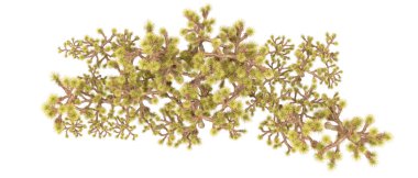 Orman ıssız. Afişler, afişler ve fotoğraf postaları için kullanışlı bir görüntü. 3d oluşturma.