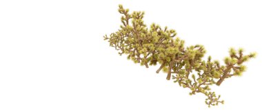 Orman ıssız. Afişler, afişler ve fotoğraf postaları için kullanışlı bir görüntü. 3d oluşturma.