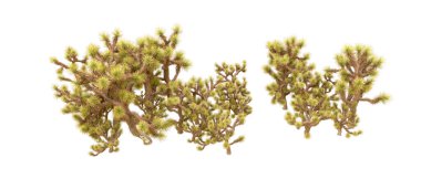 Orman ıssız. Afişler, afişler ve fotoğraf postaları için kullanışlı bir görüntü. 3d oluşturma.