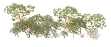 Orman ıssız. Afişler, afişler ve fotoğraf postaları için kullanışlı bir görüntü. 3d oluşturma.