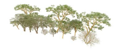 Orman ıssız. Afişler, afişler ve fotoğraf postaları için kullanışlı bir görüntü. 3d oluşturma.