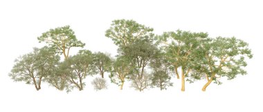 Orman ıssız. Afişler, afişler ve fotoğraf postaları için kullanışlı bir görüntü. 3d oluşturma.