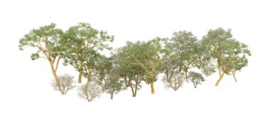 Orman ıssız. Afişler, afişler ve fotoğraf postaları için kullanışlı bir görüntü. 3d oluşturma.