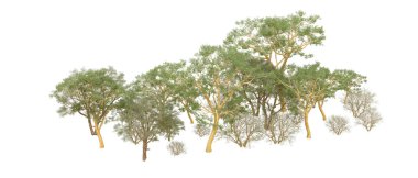 Orman ıssız. Afişler, afişler ve fotoğraf postaları için kullanışlı bir görüntü. 3d oluşturma.