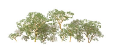 Orman ıssız. Afişler, afişler ve fotoğraf postaları için kullanışlı bir görüntü. 3d oluşturma.