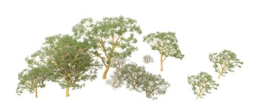 Orman ıssız. Afişler, afişler ve fotoğraf postaları için kullanışlı bir görüntü. 3d oluşturma.