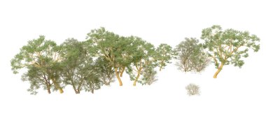 Orman ıssız. Afişler, afişler ve fotoğraf postaları için kullanışlı bir görüntü. 3d oluşturma.