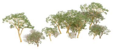 Orman ıssız. Afişler, afişler ve fotoğraf postaları için kullanışlı bir görüntü. 3d oluşturma.