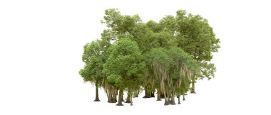 Beyaz arkaplanda 3 boyutlu yeşil ağaçların görüntülenmesi