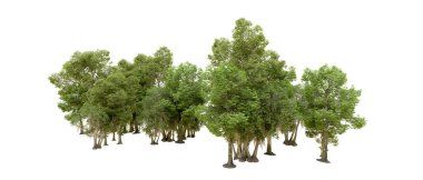 Beyaz arkaplanda 3 boyutlu yeşil ağaçların görüntülenmesi