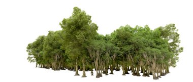 Beyaz arkaplanda 3 boyutlu yeşil ağaçların görüntülenmesi