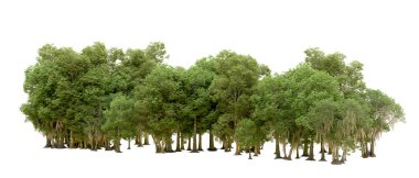 Beyaz arkaplanda 3 boyutlu yeşil ağaçların görüntülenmesi